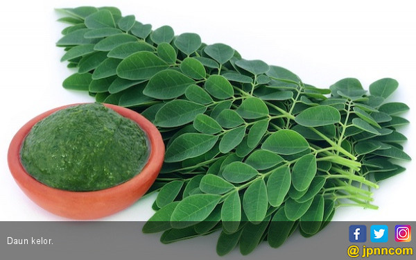 Ini Lho 4 Manfaat Biji Kelor yang Tidak Terduga