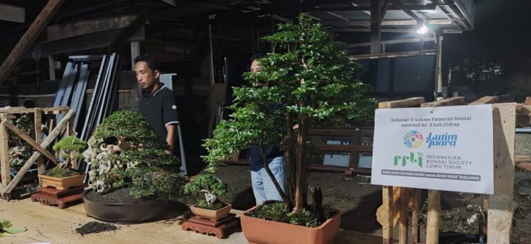 1.000 Bonsai akan Ramaikan Kontes Nasional di Sidrap