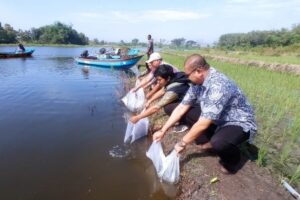 Wonogiri Tebar 115.000 Benih Ikan di Waduk Gajah Mungkur – Radio TV Gentara